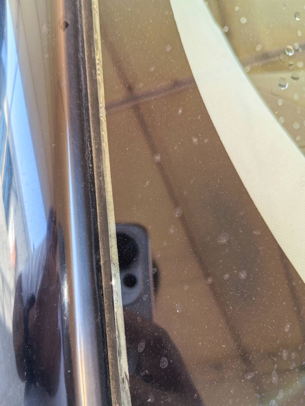 Observation Photo